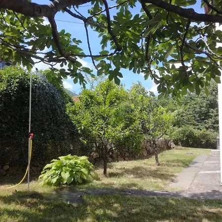 Apartment Garden