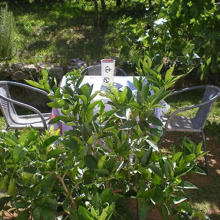 Apartment Garden *