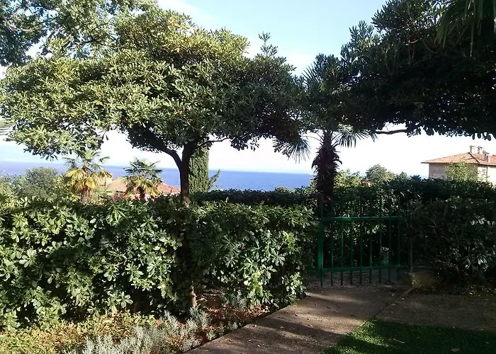Garden *